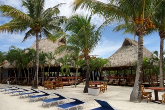 Las Palmas Beach + Snorkeling